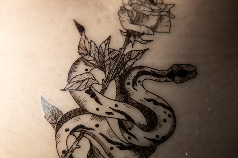 Snake_feat